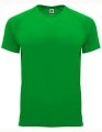 Heren Sportshirt Bahrain Roly CA0407 Fem Green